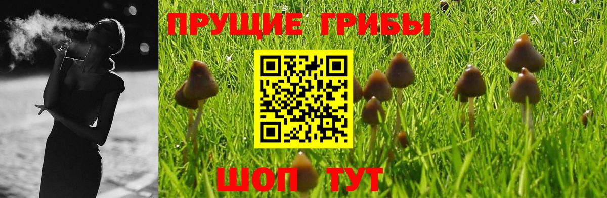 Галлюциногенные грибы прущие грибы Туймазы